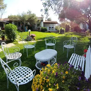 Il Falco Casa Vacanze - - Porto Rotondo Appartamento